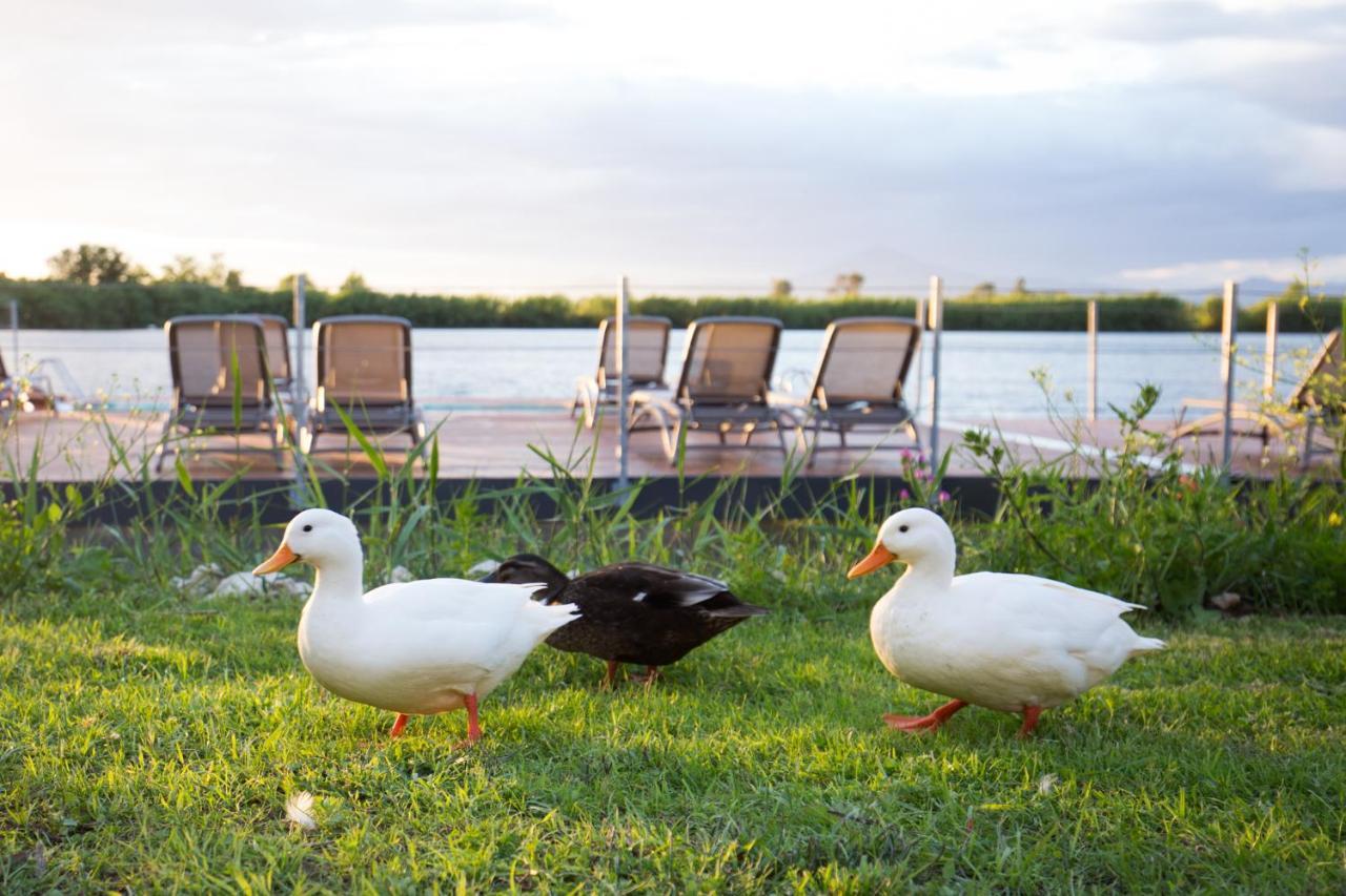 Plana Resort & Spa Кастель-Вольтурно Екстер'єр фото